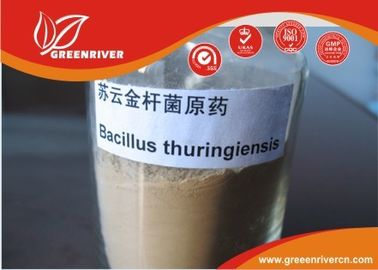 Κίνα Άσπρο εντομοκτόνο βακίλων thuringiensis σκονών για το λεπιδόπτερο έλεγχο προνυμφών προμηθευτής