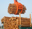 Η ισχυρά αρπαγή ξυλείας σύνδεσης αρπαγών εκσκαφέων υδραυλικά/το ξύλο εκσκαφέων επιτίθεται προμηθευτής